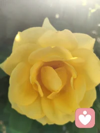 您一句“菩萨保佑您！”，口吐华严法音，善言植福，富贵相随。依《华严经》之旨，善念生则吉祥至；循禅宗直指本心、密宗身口意合一之妙义，一念慈悲即可安魂定志。循马克思哲思，物质为基、精神相依，事不解则心难宁。现代心理学诠释积极暗示之力，纵观宇凡六道，各司其道、相融共生。红尘一言一行皆是修行，务实立身，善言渡心，福慧双增，平安顺遂！