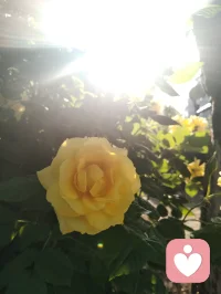 您一句“菩萨保佑您！”，口吐华严法音，善言植福，富贵相随。依《华严经》之旨，善念生则吉祥至；循禅宗直指本心、密宗身口意合一之妙义，一念慈悲即可安魂定志。循马克思哲思，物质为基、精神相依，事不解则心难宁。现代心理学诠释积极暗示之力，纵观宇凡六道，各司其道、相融共生。红尘一言一行皆是修行，务实立身，善言渡心，福慧双增，平安顺遂！