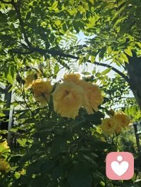 您一句“菩萨保佑您！”，口吐华严法音，善言植福，富贵相随。依《华严经》之旨，善念生则吉祥至；循禅宗直指本心、密宗身口意合一之妙义，一念慈悲即可安魂定志。循马克思哲思，物质为基、精神相依，事不解则心难宁。现代心理学诠释积极暗示之力，纵观宇凡六道，各司其道、相融共生。红尘一言一行皆是修行，务实立身，善言渡心，福慧双增，平安顺遂！