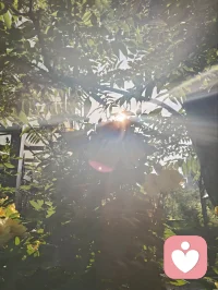 您一句“菩萨保佑您！”，口吐华严法音，善言植福，富贵相随。依《华严经》之旨，善念生则吉祥至；循禅宗直指本心、密宗身口意合一之妙义，一念慈悲即可安魂定志。循马克思哲思，物质为基、精神相依，事不解则心难宁。现代心理学诠释积极暗示之力，纵观宇凡六道，各司其道、相融共生。红尘一言一行皆是修行，务实立身，善言渡心，福慧双增，平安顺遂！