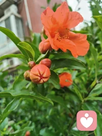 古训有云：师者，传道授业解惑也。
道、佛、儒三教殊途同归，宇凡六道相融共生。以健康道、心神疗愈道修己安身，以人道行仁善，以地道立身、天道拓界，以金钱道淡泊浮华。为师者，修身以渡己，授业以渡人，心怀家国民族，志在人类大同。三尺讲台通天地，一身儒气润苍生！