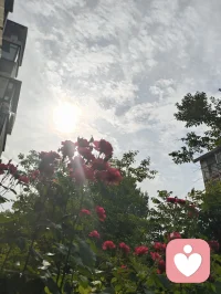 古训有云：师者，传道授业解惑也。
道、佛、儒三教殊途同归，宇凡六道相融共生。以健康道、心神疗愈道修己安身，以人道行仁善，以地道立身、天道拓界，以金钱道淡泊浮华。为师者，修身以渡己，授业以渡人，心怀家国民族，志在人类大同。三尺讲台通天地，一身儒气润苍生！
