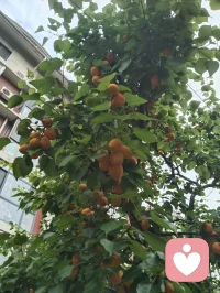 古训有云：师者，传道授业解惑也。
道、佛、儒三教殊途同归，宇凡六道相融共生。以健康道、心神疗愈道修己安身，以人道行仁善，以地道立身、天道拓界，以金钱道淡泊浮华。为师者，修身以渡己，授业以渡人，心怀家国民族，志在人类大同。三尺讲台通天地，一身儒气润苍生！