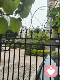 赏前几日拍的蜂鸟与花木，忽然感念天地间的因缘。上个月神伤心伤至极而咳血，想起倪师因心肺衰竭离世，才懂人间大道，冥冥中自有定数。命由天定，运由心改，这与心理学讲的“认知决定境遇”本是一体。宇凡也曾像蜜蜂一样，终日奔波采蜜，被俗世消耗心神；此刻却多想像这只小鸟，独守一方清欢，自在而从容。生命有限，唯有精神与大道可以永恒。往后，我愿放下纷扰，以宇凡道为舟，以身心为灯，在有限的生命里，创造无限的可能。我要把宇凡道，讲给更多人听，让更多人在迷茫中找到方向，在痛苦中看见希望。愿我们都能在红尘里修心，在大道中前行，不负此生，不负遇见。