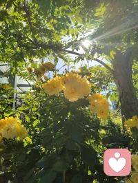 周易六爻有言，妻财为根基，家宅乃福源。妻安，则家安；家安，则业兴。老祖宗的智慧藏于一字一音之间：妻（qi）+ 安（an）= 钱（qian）。所谓招财术，从不是向外强求，而是向内守护。给身边人一份心安，便是为自己积攒源源不断的福气与财缘。配图