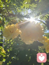 周易六爻有言，妻财为根基，家宅乃福源。妻安，则家安；家安，则业兴。老祖宗的智慧藏于一字一音之间：妻（qi）+ 安（an）= 钱（qian）。所谓招财术，从不是向外强求，而是向内守护。给身边人一份心安，便是为自己积攒源源不断的福气与财缘。配图