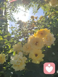 周易六爻有言，妻财为根基，家宅乃福源。妻安，则家安；家安，则业兴。老祖宗的智慧藏于一字一音之间：妻（qi）+ 安（an）= 钱（qian）。所谓招财术，从不是向外强求，而是向内守护。给身边人一份心安，便是为自己积攒源源不断的福气与财缘。配图