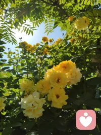 周易六爻有言，妻财为根基，家宅乃福源。妻安，则家安；家安，则业兴。老祖宗的智慧藏于一字一音之间：妻（qi）+ 安（an）= 钱（qian）。所谓招财术，从不是向外强求，而是向内守护。给身边人一份心安，便是为自己积攒源源不断的福气与财缘。配图