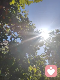周易六爻有言，官鬼为夫，是家宅之主，福运之纲。夫宁，则家宁；家宁，则福兴。老祖宗的智慧藏于一字一音之间：夫（fu）+ 宁（ning）= 福（fu）。所谓旺家之道，从不是向外攀附，而是向内相守。给身边的他一份安宁与信任，便是为家宅积攒源源不断的底气与福气。配图
