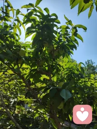 周易六爻有言，官鬼为夫，是家宅之主，福运之纲。夫宁，则家宁；家宁，则福兴。老祖宗的智慧藏于一字一音之间：夫（fu）+ 宁（ning）= 福（fu）。所谓旺家之道，从不是向外攀附，而是向内相守。给身边的他一份安宁与信任，便是为家宅积攒源源不断的底气与福气。配图