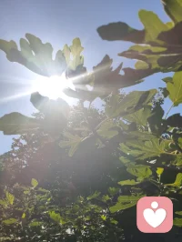 周易六爻有言，官鬼为夫，是家宅之主，福运之纲。夫宁，则家宁；家宁，则福兴。老祖宗的智慧藏于一字一音之间：夫（fu）+ 宁（ning）= 福（fu）。所谓旺家之道，从不是向外攀附，而是向内相守。给身边的他一份安宁与信任，便是为家宅积攒源源不断的底气与福气。配图