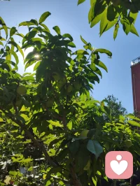 周易六爻有言，官鬼为夫，是家宅之主，福运之纲。夫宁，则家宁；家宁，则福兴。老祖宗的智慧藏于一字一音之间：夫（fu）+ 宁（ning）= 福（fu）。所谓旺家之道，从不是向外攀附，而是向内相守。给身边的他一份安宁与信任，便是为家宅积攒源源不断的底气与福气。配图