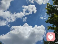 独处是一个人最好的修行！
当你经历了足够多的人和事后，就会发现，人生的至高境界并不是与周围的人维持一段恰好的关系，而是独处，我们曾是如此期盼外界的认可，到最后才明白孤独才是人生的常态，悟透下面的三句话，你的人生一定会有质的跨越。
首先，比起被人左右的生活而有智慧的人更爱无人问津的日子，其实孤单就是一个人的狂欢，而狂欢则是一群人的孤单，庸碌的人用热闹填补空虚，优秀的人以独处成就自己。
 其次、与其虚伪的迎合别人，不如一个人安静的独处，你可以一个人灯下读书，也可以一个人雨中漫步，更可以独自乘车出行，沿途有风景，背后有阳光。
 再次、独处是我们认识自己的最好机会，从热闹中失去的东西，在独处中找回来一个人最好的状态就是能在繁华中适时退出，在孤独中洞悉自我，在磨练中找到方向，最后能在喧嚣中抽身出来，透过表象和一些伪装来寻找到真实，纯粹，完整的自己。一个人最大的成长就是学会与自己相处，我们曾如此渴望命运的波澜壮阔，到最后才发现，人生最曼妙的风景竟是内心的淡定与从容。行到水穷处坐看云起时，我们曾如此期盼外界的认可，到最后才悟透孤独才是人生的常态。
能够独处的人绝对不是一般人。从心理学上看，如果一个人独处时感到舒服，那他的内心一定非常强大——因为只有能量高的人才会享受孤独。这样的人往往不爱社交，不喜欢麻烦别人。也不愿被别人打扰。你来找我，我可以陪你聊天，但我不会主动找你。他们享受独处，哪怕一周不出门也无所谓：没事时不会主动联系谁，不喜欢欠人情，一旦欠了就会立刻还清。别人需要帮助时，他们能帮就帮，不求回报，也不计较得失。情绪稳定，习惯独来独往，不需要朋友，也不依赖感情，活得无欲无求。外人看来，他们可能不合群、慢热、高冷、被动。但这样的人，绝非简简单单的普通人。他们大多经历过人生的重大打击或艰难困苦，早已学会不依靠任何人，只靠自己。他们是真正独立的人，内心富足而强大。配图