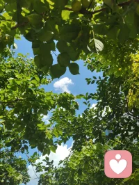 独处是一个人最好的修行！
当你经历了足够多的人和事后，就会发现，人生的至高境界并不是与周围的人维持一段恰好的关系，而是独处，我们曾是如此期盼外界的认可，到最后才明白孤独才是人生的常态，悟透下面的三句话，你的人生一定会有质的跨越。
首先，比起被人左右的生活而有智慧的人更爱无人问津的日子，其实孤单就是一个人的狂欢，而狂欢则是一群人的孤单，庸碌的人用热闹填补空虚，优秀的人以独处成就自己。
 其次、与其虚伪的迎合别人，不如一个人安静的独处，你可以一个人灯下读书，也可以一个人雨中漫步，更可以独自乘车出行，沿途有风景，背后有阳光。
 再次、独处是我们认识自己的最好机会，从热闹中失去的东西，在独处中找回来一个人最好的状态就是能在繁华中适时退出，在孤独中洞悉自我，在磨练中找到方向，最后能在喧嚣中抽身出来，透过表象和一些伪装来寻找到真实，纯粹，完整的自己。一个人最大的成长就是学会与自己相处，我们曾如此渴望命运的波澜壮阔，到最后才发现，人生最曼妙的风景竟是内心的淡定与从容。行到水穷处坐看云起时，我们曾如此期盼外界的认可，到最后才悟透孤独才是人生的常态。
能够独处的人绝对不是一般人。从心理学上看，如果一个人独处时感到舒服，那他的内心一定非常强大——因为只有能量高的人才会享受孤独。这样的人往往不爱社交，不喜欢麻烦别人。也不愿被别人打扰。你来找我，我可以陪你聊天，但我不会主动找你。他们享受独处，哪怕一周不出门也无所谓：没事时不会主动联系谁，不喜欢欠人情，一旦欠了就会立刻还清。别人需要帮助时，他们能帮就帮，不求回报，也不计较得失。情绪稳定，习惯独来独往，不需要朋友，也不依赖感情，活得无欲无求。外人看来，他们可能不合群、慢热、高冷、被动。但这样的人，绝非简简单单的普通人。他们大多经历过人生的重大打击或艰难困苦，早已学会不依靠任何人，只靠自己。他们是真正独立的人，内心富足而强大。配图