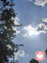 独处是一个人最好的修行！
当你经历了足够多的人和事后，就会发现，人生的至高境界并不是与周围的人维持一段恰好的关系，而是独处，我们曾是如此期盼外界的认可，到最后才明白孤独才是人生的常态，悟透下面的三句话，你的人生一定会有质的跨越。
首先，比起被人左右的生活而有智慧的人更爱无人问津的日子，其实孤单就是一个人的狂欢，而狂欢则是一群人的孤单，庸碌的人用热闹填补空虚，优秀的人以独处成就自己。
 其次、与其虚伪的迎合别人，不如一个人安静的独处，你可以一个人灯下读书，也可以一个人雨中漫步，更可以独自乘车出行，沿途有风景，背后有阳光。
 再次、独处是我们认识自己的最好机会，从热闹中失去的东西，在独处中找回来一个人最好的状态就是能在繁华中适时退出，在孤独中洞悉自我，在磨练中找到方向，最后能在喧嚣中抽身出来，透过表象和一些伪装来寻找到真实，纯粹，完整的自己。一个人最大的成长就是学会与自己相处，我们曾如此渴望命运的波澜壮阔，到最后才发现，人生最曼妙的风景竟是内心的淡定与从容。行到水穷处坐看云起时，我们曾如此期盼外界的认可，到最后才悟透孤独才是人生的常态。
能够独处的人绝对不是一般人。从心理学上看，如果一个人独处时感到舒服，那他的内心一定非常强大——因为只有能量高的人才会享受孤独。这样的人往往不爱社交，不喜欢麻烦别人。也不愿被别人打扰。你来找我，我可以陪你聊天，但我不会主动找你。他们享受独处，哪怕一周不出门也无所谓：没事时不会主动联系谁，不喜欢欠人情，一旦欠了就会立刻还清。别人需要帮助时，他们能帮就帮，不求回报，也不计较得失。情绪稳定，习惯独来独往，不需要朋友，也不依赖感情，活得无欲无求。外人看来，他们可能不合群、慢热、高冷、被动。但这样的人，绝非简简单单的普通人。他们大多经历过人生的重大打击或艰难困苦，早已学会不依靠任何人，只靠自己。他们是真正独立的人，内心富足而强大。配图
