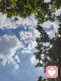 独处是一个人最好的修行！
当你经历了足够多的人和事后，就会发现，人生的至高境界并不是与周围的人维持一段恰好的关系，而是独处，我们曾是如此期盼外界的认可，到最后才明白孤独才是人生的常态，悟透下面的三句话，你的人生一定会有质的跨越。
首先，比起被人左右的生活而有智慧的人更爱无人问津的日子，其实孤单就是一个人的狂欢，而狂欢则是一群人的孤单，庸碌的人用热闹填补空虚，优秀的人以独处成就自己。
 其次、与其虚伪的迎合别人，不如一个人安静的独处，你可以一个人灯下读书，也可以一个人雨中漫步，更可以独自乘车出行，沿途有风景，背后有阳光。
 再次、独处是我们认识自己的最好机会，从热闹中失去的东西，在独处中找回来一个人最好的状态就是能在繁华中适时退出，在孤独中洞悉自我，在磨练中找到方向，最后能在喧嚣中抽身出来，透过表象和一些伪装来寻找到真实，纯粹，完整的自己。一个人最大的成长就是学会与自己相处，我们曾如此渴望命运的波澜壮阔，到最后才发现，人生最曼妙的风景竟是内心的淡定与从容。行到水穷处坐看云起时，我们曾如此期盼外界的认可，到最后才悟透孤独才是人生的常态。
能够独处的人绝对不是一般人。从心理学上看，如果一个人独处时感到舒服，那他的内心一定非常强大——因为只有能量高的人才会享受孤独。这样的人往往不爱社交，不喜欢麻烦别人。也不愿被别人打扰。你来找我，我可以陪你聊天，但我不会主动找你。他们享受独处，哪怕一周不出门也无所谓：没事时不会主动联系谁，不喜欢欠人情，一旦欠了就会立刻还清。别人需要帮助时，他们能帮就帮，不求回报，也不计较得失。情绪稳定，习惯独来独往，不需要朋友，也不依赖感情，活得无欲无求。外人看来，他们可能不合群、慢热、高冷、被动。但这样的人，绝非简简单单的普通人。他们大多经历过人生的重大打击或艰难困苦，早已学会不依靠任何人，只靠自己。他们是真正独立的人，内心富足而强大。配图