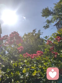 独处是一个人最好的修行！
当你经历了足够多的人和事后，就会发现，人生的至高境界并不是与周围的人维持一段恰好的关系，而是独处，我们曾是如此期盼外界的认可，到最后才明白孤独才是人生的常态，悟透下面的三句话，你的人生一定会有质的跨越。
首先，比起被人左右的生活而有智慧的人更爱无人问津的日子，其实孤单就是一个人的狂欢，而狂欢则是一群人的孤单，庸碌的人用热闹填补空虚，优秀的人以独处成就自己。
 其次、与其虚伪的迎合别人，不如一个人安静的独处，你可以一个人灯下读书，也可以一个人雨中漫步，更可以独自乘车出行，沿途有风景，背后有阳光。
 再次、独处是我们认识自己的最好机会，从热闹中失去的东西，在独处中找回来一个人最好的状态就是能在繁华中适时退出，在孤独中洞悉自我，在磨练中找到方向，最后能在喧嚣中抽身出来，透过表象和一些伪装来寻找到真实，纯粹，完整的自己。一个人最大的成长就是学会与自己相处，我们曾如此渴望命运的波澜壮阔，到最后才发现，人生最曼妙的风景竟是内心的淡定与从容。行到水穷处坐看云起时，我们曾如此期盼外界的认可，到最后才悟透孤独才是人生的常态。
能够独处的人绝对不是一般人。从心理学上看，如果一个人独处时感到舒服，那他的内心一定非常强大——因为只有能量高的人才会享受孤独。这样的人往往不爱社交，不喜欢麻烦别人。也不愿被别人打扰。你来找我，我可以陪你聊天，但我不会主动找你。他们享受独处，哪怕一周不出门也无所谓：没事时不会主动联系谁，不喜欢欠人情，一旦欠了就会立刻还清。别人需要帮助时，他们能帮就帮，不求回报，也不计较得失。情绪稳定，习惯独来独往，不需要朋友，也不依赖感情，活得无欲无求。外人看来，他们可能不合群、慢热、高冷、被动。但这样的人，绝非简简单单的普通人。他们大多经历过人生的重大打击或艰难困苦，早已学会不依靠任何人，只靠自己。他们是真正独立的人，内心富足而强大。配图