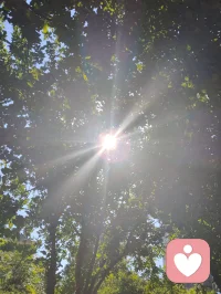 独处是一个人最好的修行！
当你经历了足够多的人和事后，就会发现，人生的至高境界并不是与周围的人维持一段恰好的关系，而是独处，我们曾是如此期盼外界的认可，到最后才明白孤独才是人生的常态，悟透下面的三句话，你的人生一定会有质的跨越。
首先，比起被人左右的生活而有智慧的人更爱无人问津的日子，其实孤单就是一个人的狂欢，而狂欢则是一群人的孤单，庸碌的人用热闹填补空虚，优秀的人以独处成就自己。
 其次、与其虚伪的迎合别人，不如一个人安静的独处，你可以一个人灯下读书，也可以一个人雨中漫步，更可以独自乘车出行，沿途有风景，背后有阳光。
 再次、独处是我们认识自己的最好机会，从热闹中失去的东西，在独处中找回来一个人最好的状态就是能在繁华中适时退出，在孤独中洞悉自我，在磨练中找到方向，最后能在喧嚣中抽身出来，透过表象和一些伪装来寻找到真实，纯粹，完整的自己。一个人最大的成长就是学会与自己相处，我们曾如此渴望命运的波澜壮阔，到最后才发现，人生最曼妙的风景竟是内心的淡定与从容。行到水穷处坐看云起时，我们曾如此期盼外界的认可，到最后才悟透孤独才是人生的常态。
能够独处的人绝对不是一般人。从心理学上看，如果一个人独处时感到舒服，那他的内心一定非常强大——因为只有能量高的人才会享受孤独。这样的人往往不爱社交，不喜欢麻烦别人。也不愿被别人打扰。你来找我，我可以陪你聊天，但我不会主动找你。他们享受独处，哪怕一周不出门也无所谓：没事时不会主动联系谁，不喜欢欠人情，一旦欠了就会立刻还清。别人需要帮助时，他们能帮就帮，不求回报，也不计较得失。情绪稳定，习惯独来独往，不需要朋友，也不依赖感情，活得无欲无求。外人看来，他们可能不合群、慢热、高冷、被动。但这样的人，绝非简简单单的普通人。他们大多经历过人生的重大打击或艰难困苦，早已学会不依靠任何人，只靠自己。他们是真正独立的人，内心富足而强大。配图
