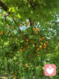 宇凡道三我修行：
本我合道，归自然天性；
真我合儒，守人间正心；
无我合释，破世间我执。
 以道修身、以儒立身、以佛渡心。
三我归一，心神圆满，便是红尘最高修行！配图