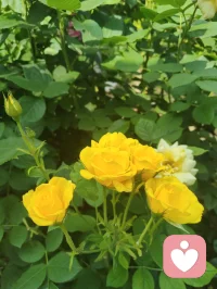 你越无相，能量越好！弱者慕强，强者求真！弱者着相，强者破相，智者无相，比如：开悟者！配图