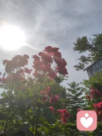 你越无相，能量越好！弱者慕强，强者求真！弱者着相，强者破相，智者无相，比如：开悟者！配图