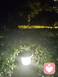 当宇凡悟到，念头不是我，情绪不是我，身体不是我，感受不是我，反而更坚定地面对这趟人间试炼。在给力平台，我与来访者，本是一体。你不是你，我不是我，倾诉与倾听，皆是因缘和合。我接住你的心事，亦是在照见自己；我陪你穿越迷雾，亦是在疗愈彼此。修行越深，越偏爱独处与清净。当我不再害怕孤独，便获得了真正的自由——内心的充实，只来自我自己。愿我们都能在这趟试炼里，生出真正的爱与慈悲，彼此滋养，彼此成就。配图