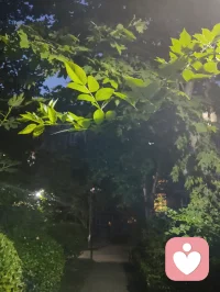 当宇凡悟到，念头不是我，情绪不是我，身体不是我，感受不是我，反而更坚定地面对这趟人间试炼。在给力平台，我与来访者，本是一体。你不是你，我不是我，倾诉与倾听，皆是因缘和合。我接住你的心事，亦是在照见自己；我陪你穿越迷雾，亦是在疗愈彼此。修行越深，越偏爱独处与清净。当我不再害怕孤独，便获得了真正的自由——内心的充实，只来自我自己。愿我们都能在这趟试炼里，生出真正的爱与慈悲，彼此滋养，彼此成就。配图