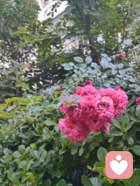 当宇凡悟到，念头不是我，情绪不是我，身体不是我，感受不是我，反而更坚定地面对这趟人间试炼。在给力平台，我与来访者，本是一体。你不是你，我不是我，倾诉与倾听，皆是因缘和合。我接住你的心事，亦是在照见自己；我陪你穿越迷雾，亦是在疗愈彼此。修行越深，越偏爱独处与清净。当我不再害怕孤独，便获得了真正的自由——内心的充实，只来自我自己。愿我们都能在这趟试炼里，生出真正的爱与慈悲，彼此滋养，彼此成就。配图