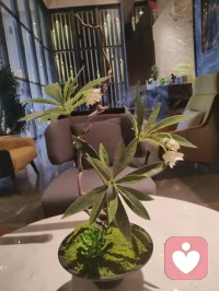 当宇凡悟到，念头不是我，情绪不是我，身体不是我，感受不是我，反而更坚定地面对这趟人间试炼。在给力平台，我与来访者，本是一体。你不是你，我不是我，倾诉与倾听，皆是因缘和合。我接住你的心事，亦是在照见自己；我陪你穿越迷雾，亦是在疗愈彼此。修行越深，越偏爱独处与清净。当我不再害怕孤独，便获得了真正的自由——内心的充实，只来自我自己。愿我们都能在这趟试炼里，生出真正的爱与慈悲，彼此滋养，彼此成就。配图