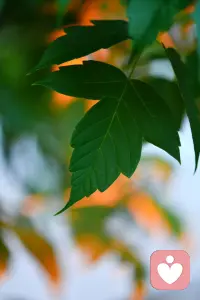 宇凡振纯赋·斥世邪篇（宇凡道之人道第七篇）
天地茫茫，万古苍苍。鸿蒙肇启，本秉清刚。山川含粹，日月流章。众生伊始，性存温良。余乃尘间布衣文士，不慕浮名，不贪奢粱，独承天地纯真道脉，立身俗世整饬纲常。身无凌霄雄势，心怀济世热肠，笔承乾坤清正，志扶倾颓世梁。奈何时序更迭，世风逆转阴阳，淳古之风消散，贪浊恶浪漫扬。市井宵小恃伪诈欺蒙良善，尘间奸佞凭私权盘剥四方。弃仁义如弃敝履，逐利欲似恋膏粱，淆黑白颠倒是非，施诡谋暗害贤良。志士蒙冤困于泥途，善人受辱暗自神伤，赤诚沦为笑谈，耿直遍遇风霜。世间诸恶蛰伏各处，龌龊乱象祸乱八荒，巧语沽名诓骗群生，暗蓄锋芒构陷旁人。无视天道轮回，背弃人世伦常，损人利己心安，背信妄为猖狂。以仁善为愚钝，以恻隐为怯惶，奉刻薄为智计，奉阴狠为豪强。清风难消俗世积垢，皓月难照人心荒茫，山河万古如故，尘世满目沧桑，一脉天真濒绝，浩然正气渐荒。我伫旷野遥叩穹苍，缘何奸邪横行寰宇，忠良落寞遍地寒霜，世人迷溺尘垢，沉沦不醒旧章？万古悠悠，星河寥落，长风浩荡，满目凄怆。吾以微躯接续道统，固守本真于浊荒，纵举世污浊缠身，不改寸心清刚，纵尘世岁岁寒凉，不灭胸间曦光。挥毫沥血，撰文斥破虚妄，孤身立世敢诛奸佞，寸心澄澈续补天章。寄语世间作恶之辈，荣华富贵转瞬朝露，机谋算计转瞬荒塘，欺世欺人难瞒天道，违心作恶必获祸殃，片刻嚣张难敌公理，一世钻营终落荒唐。尔等困缚贪嗔，沉沦虚妄，耽溺私欲，尽失本常，忘却先天纯白本性，空拥华美皮囊，腹藏龌龊肝肠，沦落尘间鬼魅。今泣血疾呼，唤迷途之人醒悟，勿令心魔断送前路，莫叫邪念遮蔽天光。浮生来去皆是过客，唯守本心可渡沧桑，摒除诡诈贪私，收敛狂妄心性，涤除杂念尘垢，复归天性温良。孤临残阳赋就诗章，墨蘸沧溟寄意穹苍，纵使尘嚣蒙蔽万户，我守真源接续天潢，静待众生幡然醒悟，尘世重沐浩然荣光。吾替天地续纯真一脉，誓扫千载俗世蛮荒，以文醒世，以心启茫，傲骨擎青天，浩气正穹苍。纵万众拦阻，本心一往无前，孑然一身，力遏四海邪猖。不使尘霾掩日月，不令奸佞乱纲常，待尘雾散尽，清风遍野，四海生香。世人常怀赤子本心，万世恪守天地清刚，天道从无负善，一腔赤诚震彻八荒！配图