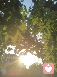宇凡自幼敬仰保尔，受《钢铁是怎样炼成的》熏陶立身。身遭焦虑抑郁躯体化自愈后遗症、脑雾损伤，吾愿效仿保尔磨砺自我，潜心修复神经元，立志著书《神经元的自我修复》，以身践正道。配图