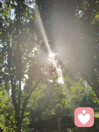 先把自己活成一道光！最好的相处，是把亲人当成贵客相待。
待客我们懂得克制脾气、尊重喜好，不会强迫客人吃不喜欢的饭菜，不因行事不合心意随意发火，恪守分寸与礼貌。可偏偏面对父母、爱人、儿女，轻易丢掉边界，习惯性强加自己的想法。心疼父母便执意添置他们嫌贵不愿穿的衣物，是执念强加；早起为赖床的伴侣做饭，却满腹牢骚不停抱怨，饭菜再香也满是控制；逼着普通的孩子必须出人头地、成龙成凤，是虚妄执念。所有带着怨气的付出，都是内耗与负累，要及时停下。顶级的亲情与爱意，是如如不动的平常心。尽心去付出，但不强求回报与结果。少一分嗔怒，运势日渐顺遂；少一分苛求，福气缓缓登门。家庭最好的馈赠从不是堆积不完的物质，而是全家人朝夕相伴时，你的心平气和、一室如沐春风。守住相处边界，温柔善待家人，方能阖家安康，烟火绵长。配图