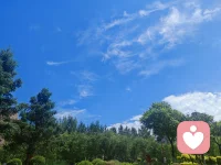 《宇凡·三我渡世文》
宇凡一身藏三我：本我宇凡缠尘、少年留殇，真我宇凡澄澈、本自具足，无我宇凡神游太虚，俯察尘世万家疾苦。世人苛责稚子、争执伴侣，病根不在骨肉，而在自身内在孩童困于幼时：两岁缺陪伴之惶、三岁遭否定之怯、七八岁受管束之郁，隐性冷暴、严苛期许皆是无形伤刃，代代轮回流转。人借育儿修补童年缺憾，奈何旧习时常反扑，一边立志温柔，一边受控发怒，这份反复拉扯，正是修行破业必经之路。夫妻反目，皆是两个缺爱幼心相互索取防御，向外指责全是愚痴。养儿从非雕琢儿女成龙，乃是借稚子重养受伤的自己，孩童便是渡化父母的天赐因缘。逃避创伤、迁怒至亲，只会延续家族苦难。放下掌控执念，接纳子女平凡、包容自我缺憾，于烟火日常安抚年少伤痕。心若安稳无求，自能断伤痛轮回。身在凡尘，道场不在深山，而在居家朝夕；善待孩儿即是慈悲过往，修好己心，方能渡己、渡家、普度世间迷惘众生。配图