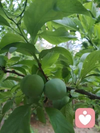 宇凡从今天开始戒烟限酒，好好爱自己的身心，身教重于言传，做好孩子们的榜样！配图