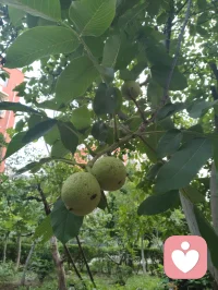 宇凡从今天开始戒烟限酒，好好爱自己的身心，身教重于言传，做好孩子们的榜样！配图