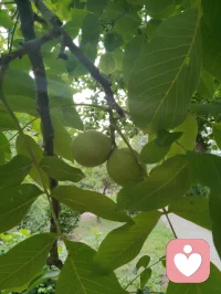 宇凡从今天开始戒烟限酒，好好爱自己的身心，身教重于言传，做好孩子们的榜样！配图