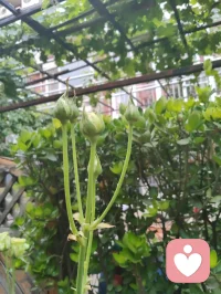 宇凡从今天开始戒烟限酒，好好爱自己的身心，身教重于言传，做好孩子们的榜样！配图