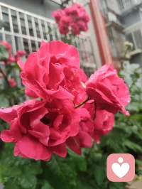 宇凡晨起愚钝，执念辩理，言语莽撞伤了姐姐禅心，让敬爱之人含泪，是我今日最大过错。
姐姐秉儒韵诗书育人，温润慈悲、如水中禅、镜中月；我循道家阴阳平衡，执念左右脑圆融成长。儒道本无争，只是我执太重、口不择言。
常年烟酒随性、肆意江湖，看似洒脱，实则耗身、负人。
今立雨中立誓：
戒烟火、敛轻狂、修身心。
为姐姐三子、为我一双儿女，五个孩子立榜样；
补姐夫未完成的自律，不负亲人期盼、不负世人相待。
雨洗尘心，知错即改。
愿我姐诗书常伴，眉眼温柔，岁岁安然、日日盛放🌿配图