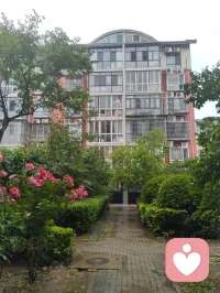 津门暖心记事·雨中行善遇杏酱！
细雨漫洒津门街巷，中午陪外甥女练琴过后下楼沐雨赏花，偶遇雨中遇险跌倒的古稀老者，出手挪车搀扶、细心诊察身体，凭经验辨出老人潜藏心疾与消渴旧症，辅以融合儒释道底蕴的静心乐曲安神，温淡蜜水缓养身形。闲谈间叮嘱二老调整运动喜好，引荐身旁修习中华无极功的长者调理身心，知晓老伴是音乐教授，当场提笔写词编曲，用音律纾解失眠烦忧。二老执意赠礼酬谢，钱财烟酒悉数婉辞，只收下老人亲手熬煮的杏子酱——初夏门前鲜杏手工熬制，酸甜藏着邻里温情。一杯西湖毛尖入喉，闲谈清欢岁月，临别赠福寿祈愿，行善不求回报，得一碗自制果酱作馈，便是凡尘里最温润的福报。配图