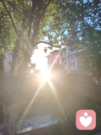 光终会洒在你身上，你也会灿烂一场！配图