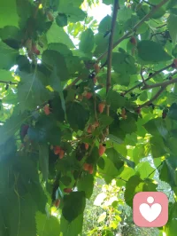 光终会洒在你身上，你也会灿烂一场！配图