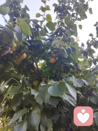 光终会洒在你身上，你也会灿烂一场！配图