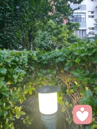 新送别·自别荆门
 
驿路移为荆襄津口，
灵风轻曳长堤碧柳。
心通圣哲世外雅奏，
残阳淡抹烟村层楼。
 
尘中知己随缘携手，
世路分襟共阅千秋。
淡茶清心罢却芳酒，
翩然远去，一任光阴缓缓奔流。
 
聚散浮沉莫问重聚首，
大千来去本自自由。
此身辞别亦是归舟，
怀念稚童，神交弘一，万古悠悠。配图