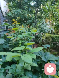 新送别·辞荆门
 
古驿翻作荆江渡口，
天风漫拂千堤烟柳。
心和弘一尘外清奏，
落霞尽染云边层楼。
 
半生行迹随缘聚友，
浮世奔波一任春秋。
素茗澄怀不贪杯酒，
拂衣远去，笑看流年自在行舟。
 
何须怅望何时重聚首，
往来聚散皆是天由。
此别尘途亦是归休，
心牵稚子，神契前贤，天地同游。配图