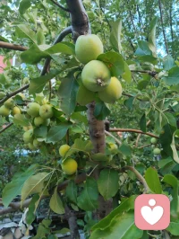 新送别·辞荆门
 
古驿翻作荆江渡口，
天风漫拂千堤烟柳。
心和弘一尘外清奏，
落霞尽染云边层楼。
 
半生行迹随缘聚友，
浮世奔波一任春秋。
素茗澄怀不贪杯酒，
拂衣远去，笑看流年自在行舟。
 
何须怅望何时重聚首，
往来聚散皆是天由。
此别尘途亦是归休，
心牵稚子，神契前贤，天地同游。配图