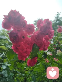 新送别·辞荆门
 
古驿翻作荆江渡口，
天风漫拂千堤烟柳。
心和弘一尘外清奏，
落霞尽染云边层楼。
 
半生行迹随缘聚友，
浮世奔波一任春秋。
素茗澄怀不贪杯酒，
拂衣远去，笑看流年自在行舟。
 
何须怅望何时重聚首，
往来聚散皆是天由。
此别尘途亦是归休，
心牵稚子，神契前贤，天地同游。配图