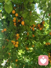 曾与夜鬼谋生计，也曾深山借运途。
待到霜染鬓角，才懂：万般不由人，皆是命中定。配图