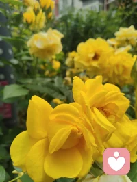 曾与夜鬼谋生计，也曾深山借运途。
待到霜染鬓角，才懂：万般不由人，皆是命中定。配图