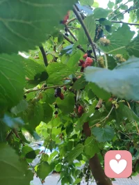 【宇凡道·人道渡化解脱篇】
恨意焚身，先伤的从来都是自己；执念为枷，困住的也从来只有本心。别拿别人的错，熬干自己的心力；别用翻旧账的力气，拖垮自己的元神。天公自会讨账，因果自会清算，你不必做那个执剑的人。痛不伤人，执痛者自伤；劫不困人，执劫者自缚。心若困在过往，处处都是枷锁；心若学会转身，步步皆是新生。放过别人，是慈悲；放过自己，才是修行。不报复，不是宽恕他，而是护住自己的元神，不被他人的业力拖入深渊，不教烂人的错，脏了你剩下的路。
 
心无挂碍，方能步步生莲。🙏配图