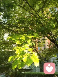【宇凡道·人道渡化解脱篇】
恨意焚身，先伤的从来都是自己；执念为枷，困住的也从来只有本心。别拿别人的错，熬干自己的心力；别用翻旧账的力气，拖垮自己的元神。天公自会讨账，因果自会清算，你不必做那个执剑的人。痛不伤人，执痛者自伤；劫不困人，执劫者自缚。心若困在过往，处处都是枷锁；心若学会转身，步步皆是新生。放过别人，是慈悲；放过自己，才是修行。不报复，不是宽恕他，而是护住自己的元神，不被他人的业力拖入深渊，不教烂人的错，脏了你剩下的路。
 
心无挂碍，方能步步生莲。🙏配图